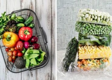 Frozen vs. Fresh: What Food Importers Need to Know